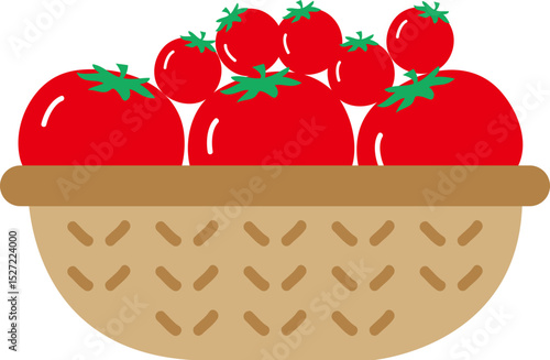 토마토 바구니