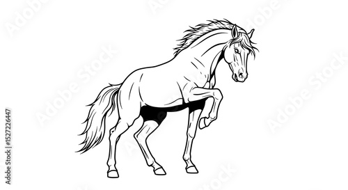 vector art line of angry horse muscle gentle with fire effect and siluet effect suitable for mockup and logo product of team isolated white background