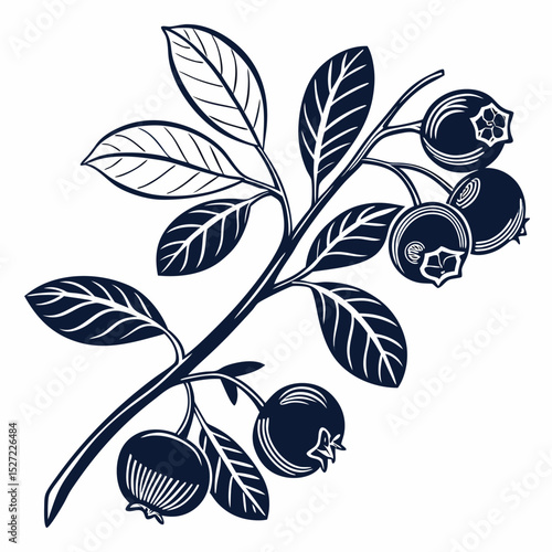 bilberry with leaves