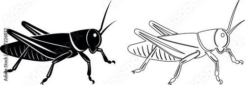 Grasshopper vector illustration in black and white outline and silhouette