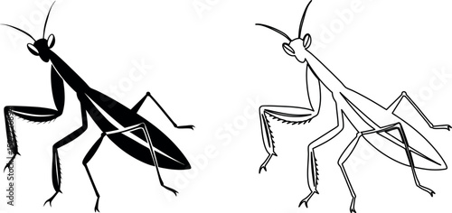 Praying Mantis Illustration in Black and White Silhouette and Outline