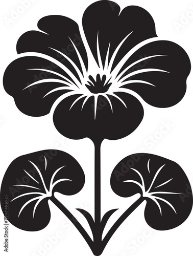 Nasturtium Flower Black Silhouette Vector, Botanical Clipart & Garden Floral Design