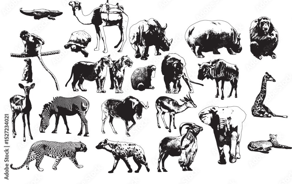 Fototapeta premium Black and White Animals Silhouette Vector Collection on White Background.