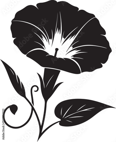Morning Glory Flower Black Silhouette Vector, Elegant Botanical Clipart & Floral Design
