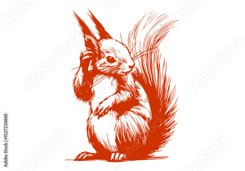 Red squirrel hand drawn sketch vector illustration