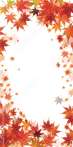 紅葉　もみじ　秋　背景	