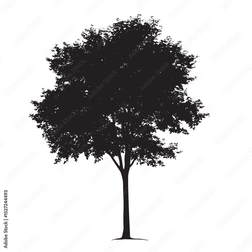 Fototapeta premium Tall Alder Tree Black Silhouette Clip Art