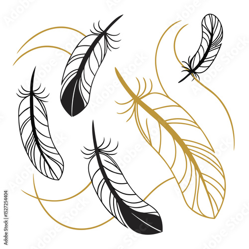 Elegant black and gold feathers design