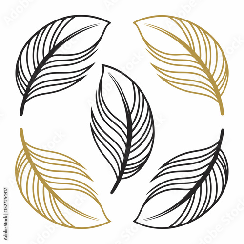 Elegant black and gold feather design elements