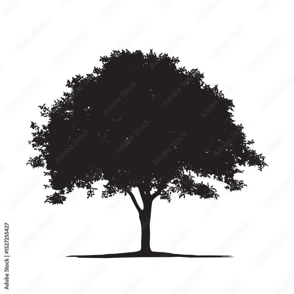 Fototapeta premium Blank Space with Silhouetted Alder Tree