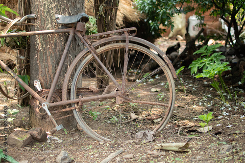 Foto An old, rusted bicycle leans against a tree, overtaken by time and nature