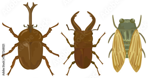 夏の虫イラストセット ベクター素材