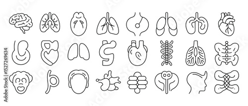 Medical Organs Outline Collection – Vital Anatomy Vector Symbols

