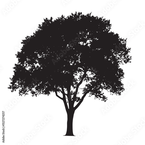 Bare Limbs Tree Alder Vector Silhouette