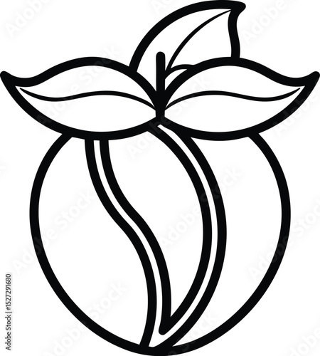 Buck-bean Outline: Aquatic Plant

