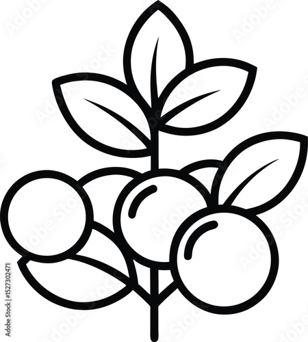 Blackthorn Outline Icon: Wild Plant

