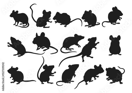 Set of mouse silhouette, rat, rodent
