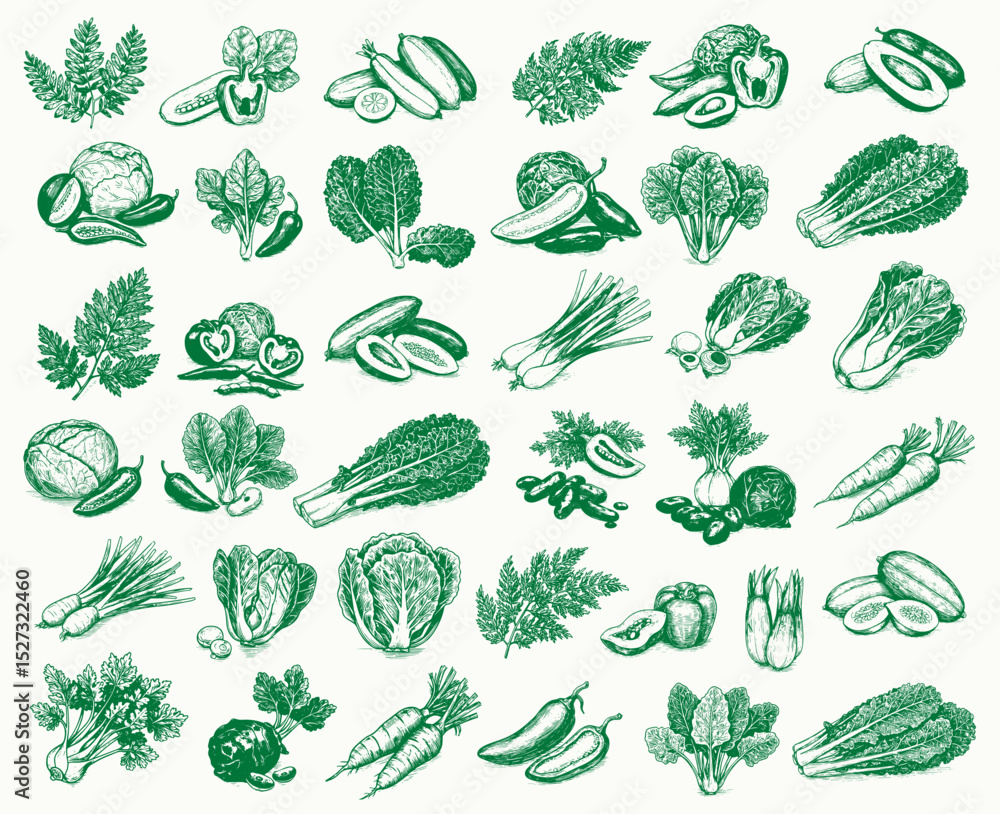 Fototapeta premium Vegetarian organic healthy food set. Farm vegetables collection. Vegan concept. engraving vector illustration