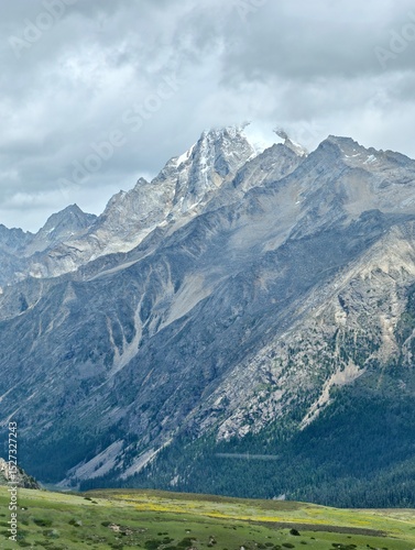 swiss alps in the alps