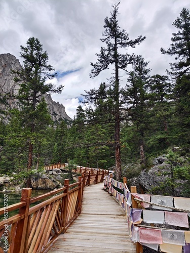 wooden bridge in the mountains