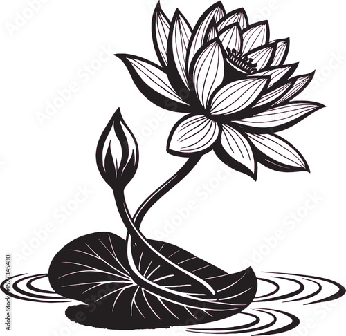 Lotus Bloom: A black-and-white illustration of a serene water lily, its petals unfurling gracefully alongside a tender bud, depicting the peacefulness and purity of the flower.