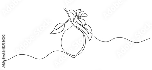 Lemon with flower one line illustration. Vector continuous outline isolated sketch of fruit, vector drawing