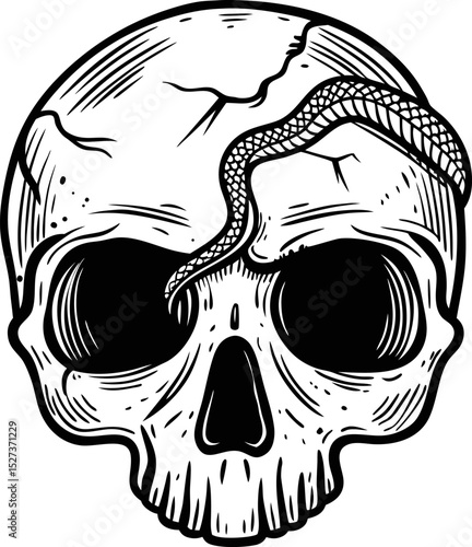 Skull with serpent, cracked cranium monochrome illustration of danger, mortality, and gothic symbolism
