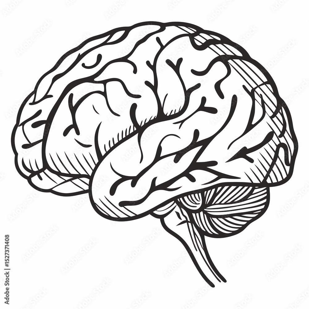 Fototapeta premium Brain with halftone stipple effect vector 