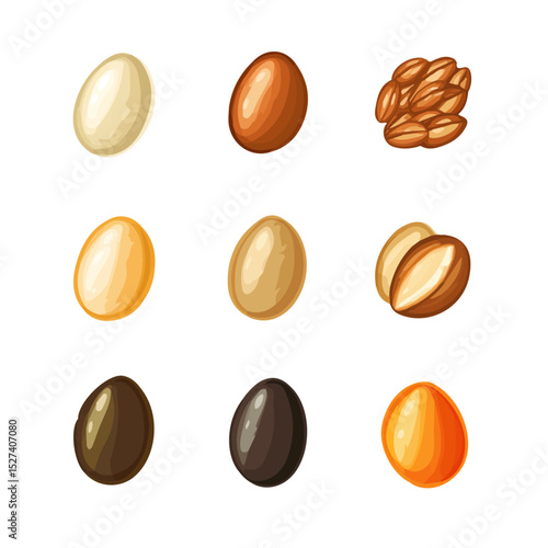 Seeds illustration vector 2D flat, isolated on a white background.