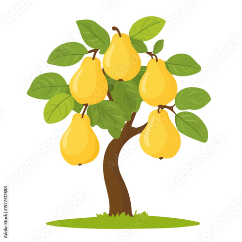2D flat Ripe Pears Hang Tree illustration vector, isolated on a white background.