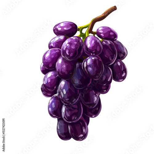 Purple Fresh Ripe Grapes vector 2D flat illustration, isolated on a white background.
