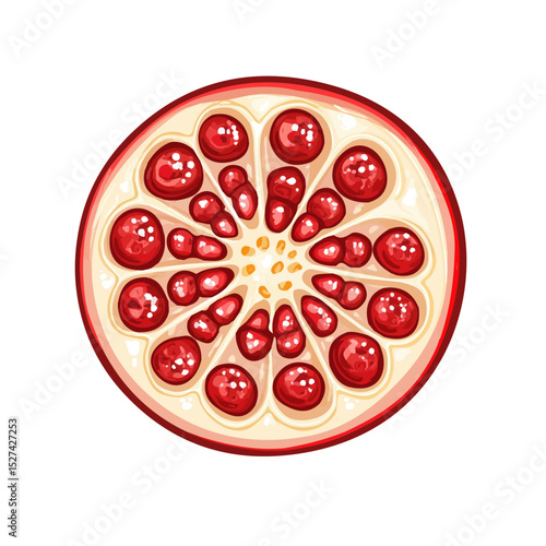 Pomegranate Slice 2D flat vector illustration, isolated on a white background.