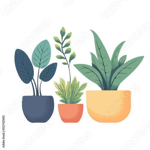 2D flat Planters vector illustration, isolated on a white background.