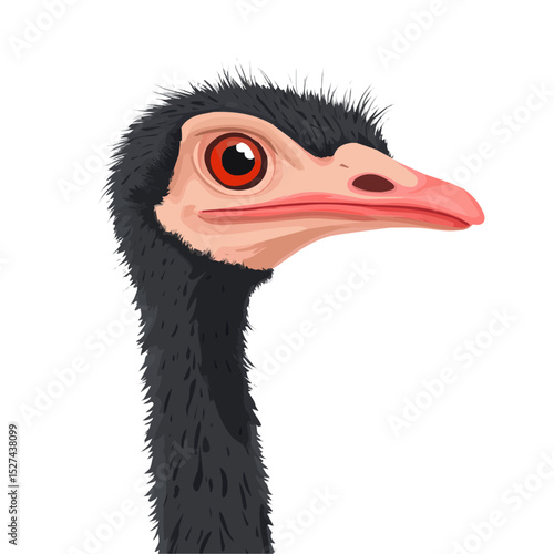 Ostrich Close Up 2D flat vector illustration, isolated on a white background.