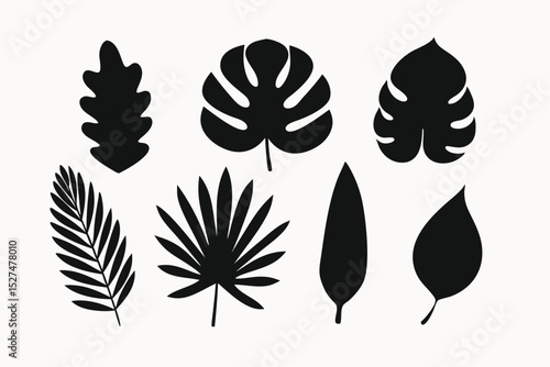 Collection of Tropical and Temperate Leaf Silhouettes Black and White Botanical Illustrations