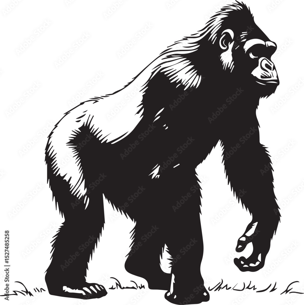 Obraz premium gorilla into white background 100% fully editable file 