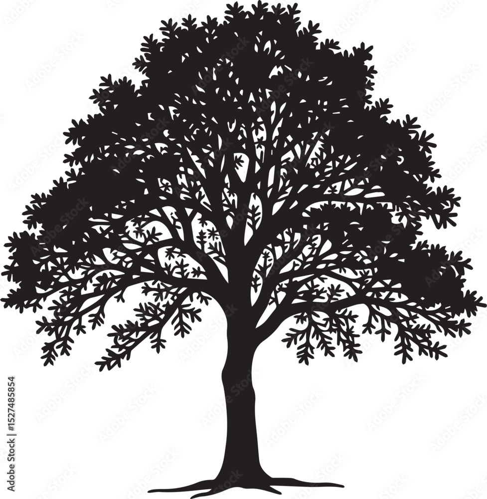 Fototapeta premium silhouette of tree