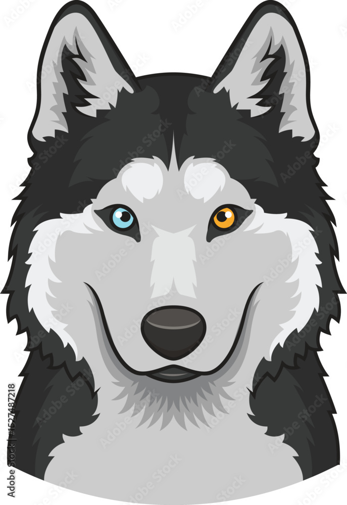 Fototapeta premium Siberian Husky Face Vector Image