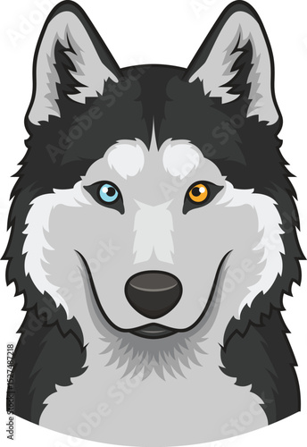 Siberian Husky Face Vector Image