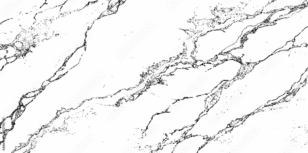 Obraz premium black veins creating a marble like pattern and texture design style creating a marble texture modern design aesthetic white background.
