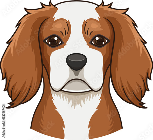 Cavalier King Charles Spaniel Face Vector Image