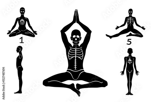 Yoga poses with skeletal anatomy illustrations