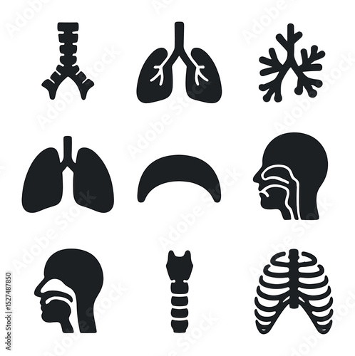 Respiratory System Icons. Solid, filled icons set of respiratory system anatomy: trachea, bronchi, bronchioles