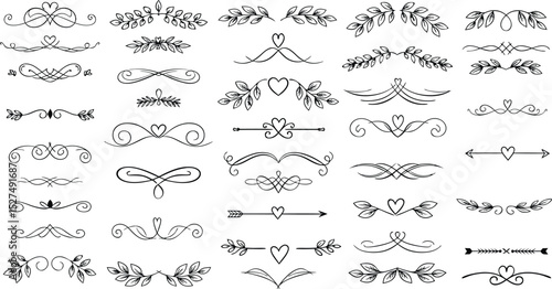 Hand drawn decorative elements in a collection of various dividers and floral design accents for design projects