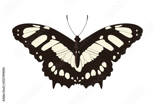 vector realistic butterfly. Cartoon color volume clip art isolated on transparent background. Hand drown design element.