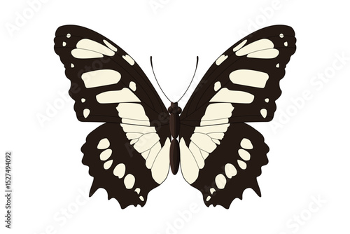vector realistic butterfly. Cartoon color volume clip art isolated on transparent background. Hand drown design element.