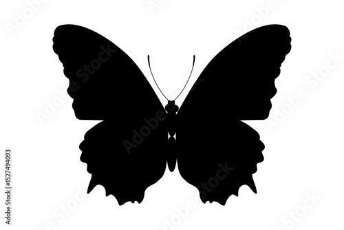 vector realistic silhouette butterfly. Cartoon black clip art isolated on transparent background. Hand drown design element.