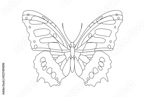 vector realistic butterfly. Cartoon black and white clip art isolated on transparent background. Hand drown design element.