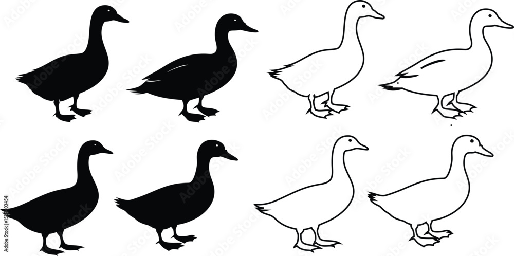 Fototapeta premium Collection of duck icons, silhouettes and outlines, vector isolated