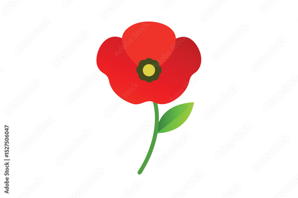 Obraz premium Poppy flower in botanical art style with gentle petal detail vector art illustration